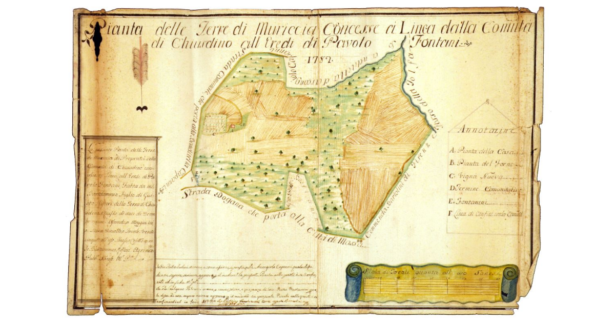 Pianta delle terre di Muriccia concesse a linea dalla comunità di Chiusdino all'eredi di Pavolo Fontani