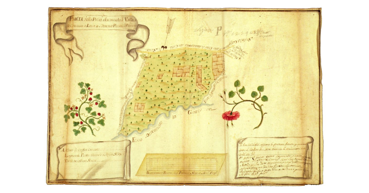 Pianta della presa denominata le Vallinette concessa a linea a Domenico Piccini del Palazzetto