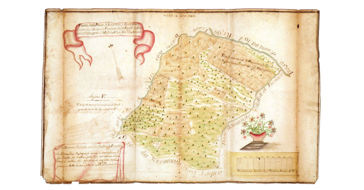 Pianta della presa di Legamori e Prato Tondo concessa a linea a Francesco del fu Pavolo da Frassini nell'anno 1783 di moggia 17, staia 19, tavole 65 senesi