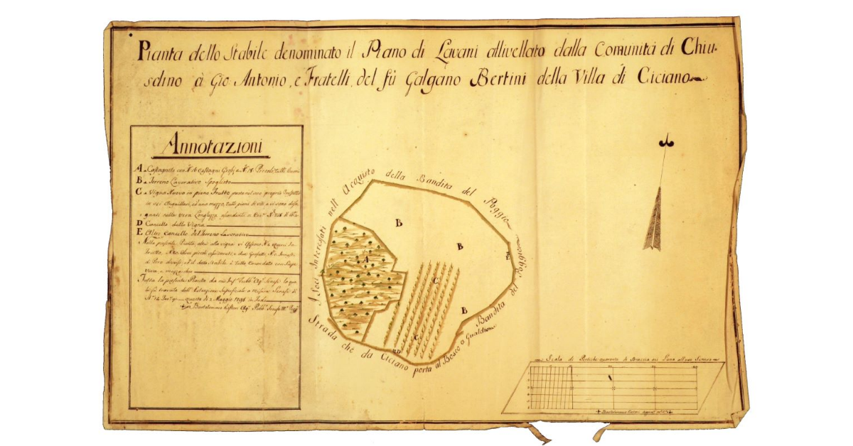 Pianta dello stabile denominato il Pian dei Lavani allivellato dalla comunità di Chiusdino a Giovanni Antonio e fratelli del fu Galgano Bertini della villa di Ciciano