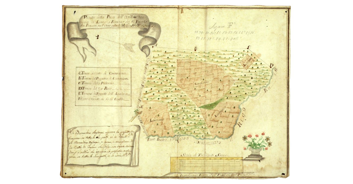 Pianta della presa dell'Aquilaia, concessa a linea a Francesco del fu Pavolo da Frassini nell'anno 1783 di moggia 13, staia 21, tavole 97 senesi