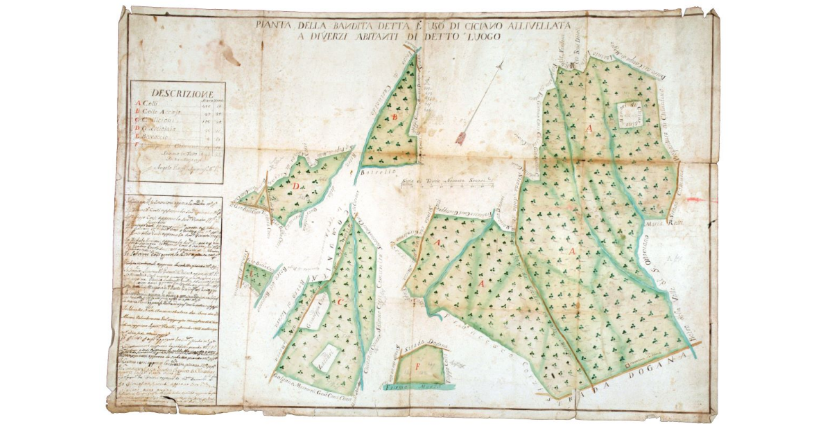 Pianta della bandita detta l'uso di Ciciano allivellata a diversi abitanti di detto luogo