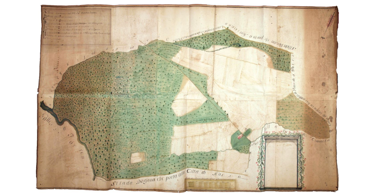 Pianta della bandita Cillerese e terre annesse