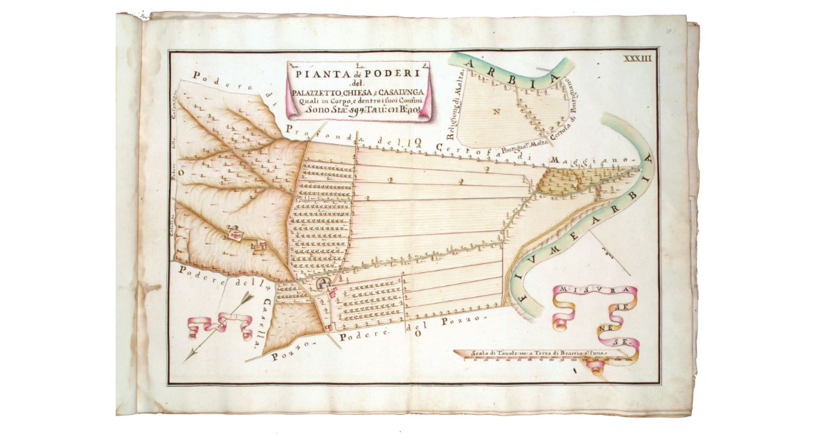 Pianta del podere del Palazzetto, Chiesa e Casalunga. Quali in corpo e dentro i suoi confini. Sono staia 594, tavole 81, braccia 20 1/3