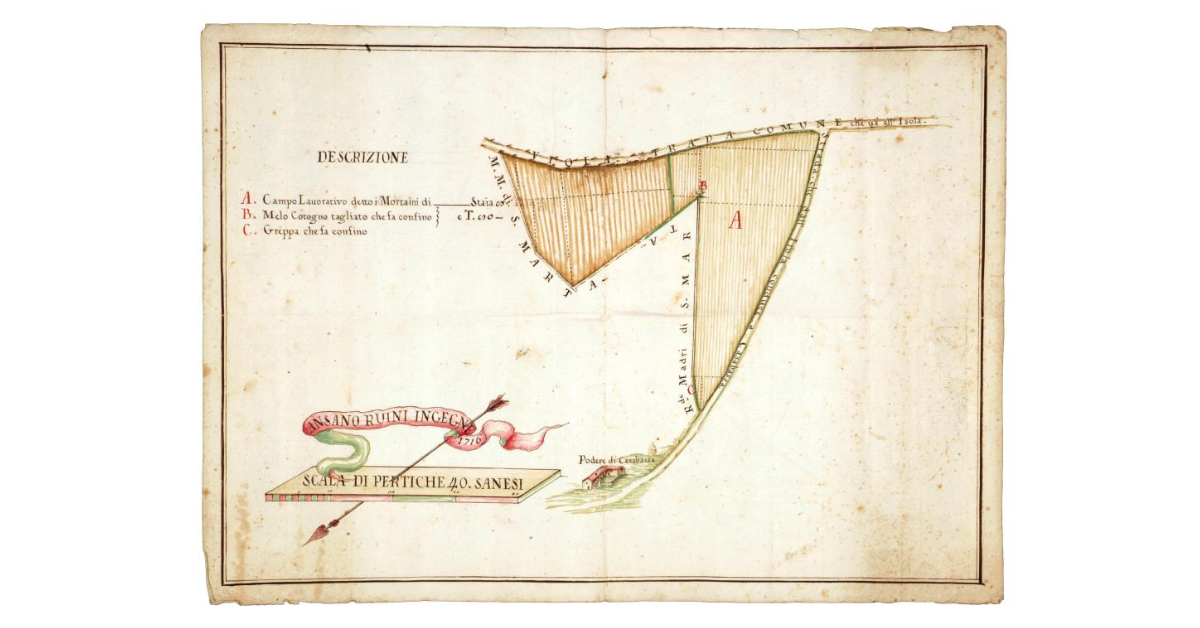 [Pianta di un appezzamento relativo al podere di Casabassa]