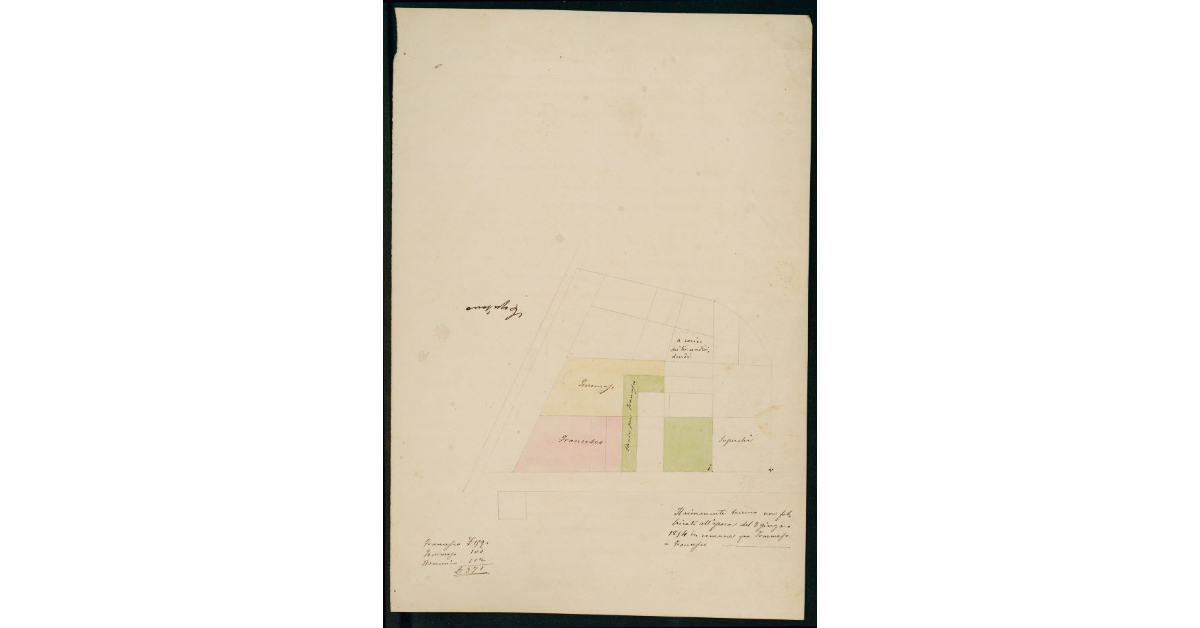 [Pianta dei terreni acquistati dai fratelli Berti]