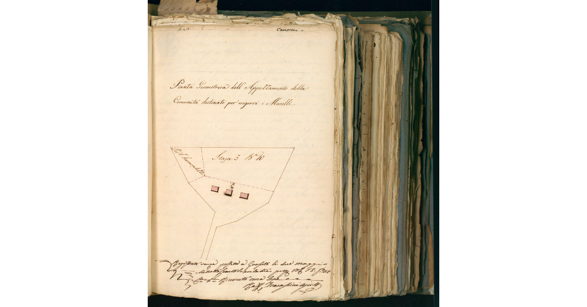 Pianta Geometrica dell'appezzamento della Comunità destinato per erigervi i Macelli