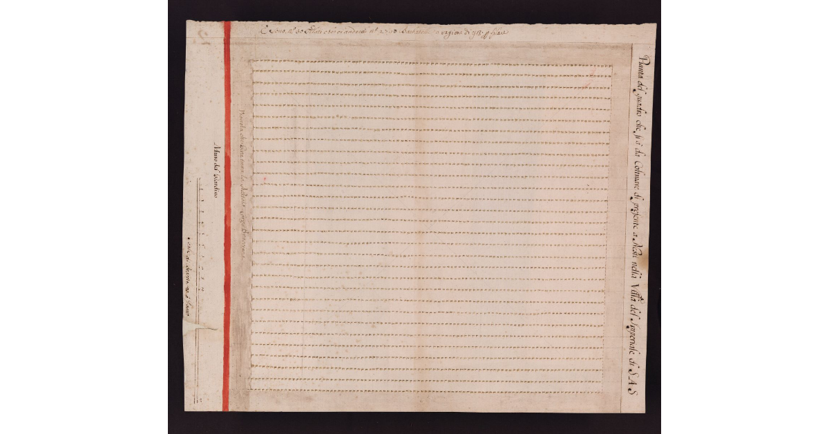 Pianta del quadro che si à da Coltivare di presente a Nesti nella Villa del Imperiale di SAS