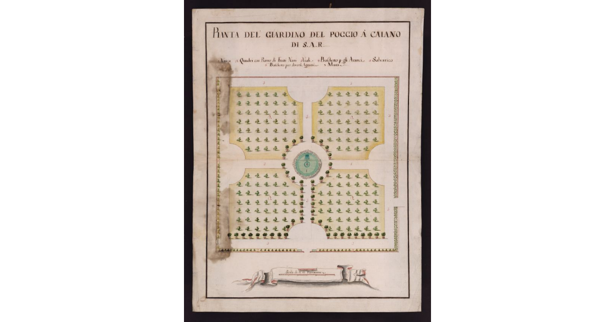 Pianta del giardino del Poggio à Caiano di S.A.R