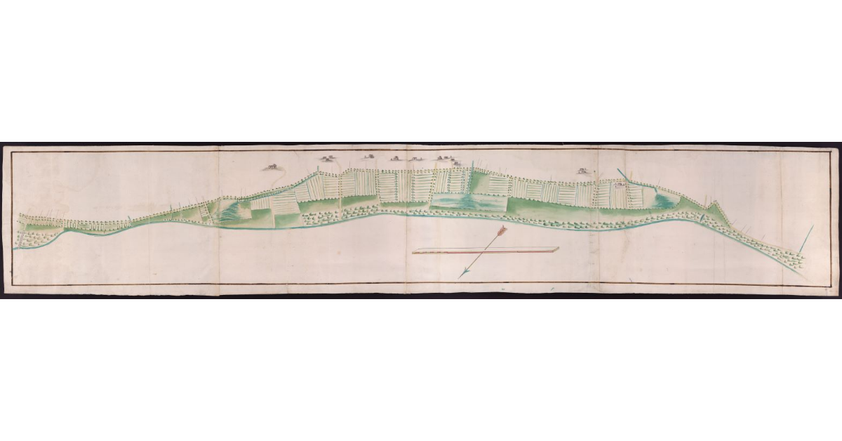 [Terreni lavorativi e in colmata]