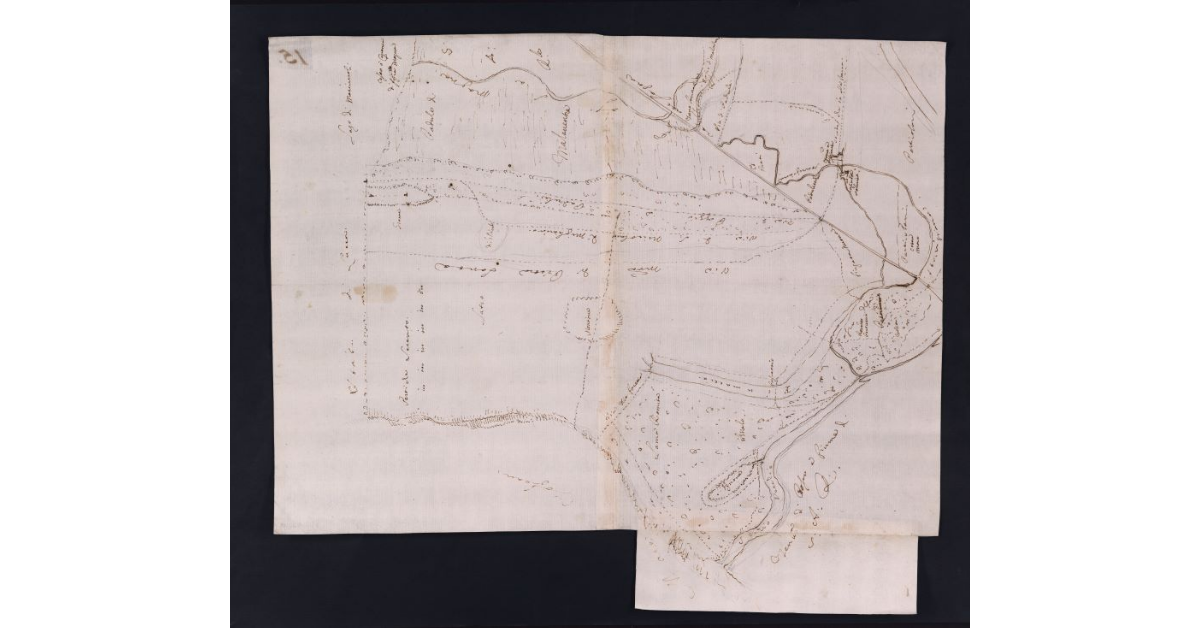 [Pianta dei terreni della fattoria di Vecchiano]