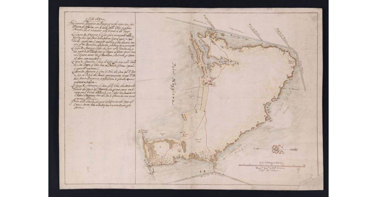 [Pianta della Tenuta di Coltano con le Lame degli Olmi e altre Macchie]