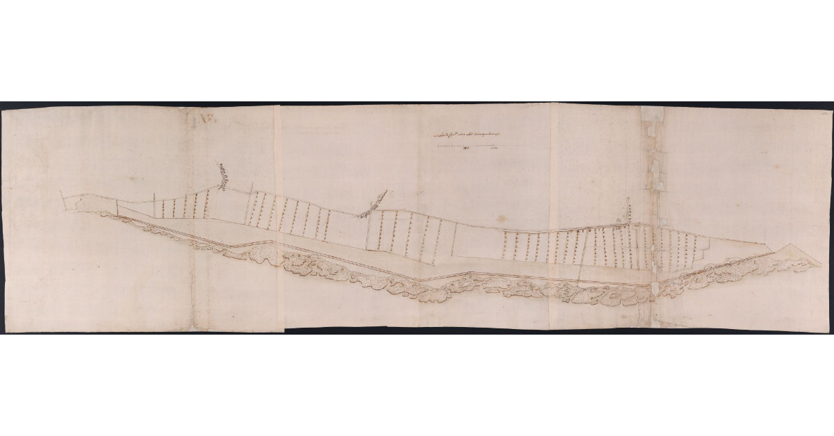 [Pianta di una parte della fattoria delle Chianacce]