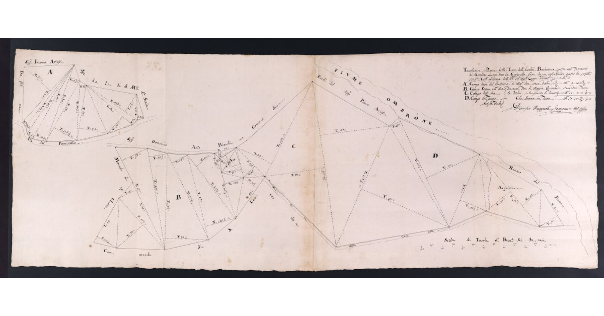 Tavolatura e Pianta delle Terre dell'eredità Bardottini, poste nel territorio di Grosseto, luogo detto la Gorarella fatta da me' infrascritto questo di 10 dicembre 1716. Coll'Assistenza dell'Ill.mo Cav. Lippi Visitatore per S.A.R