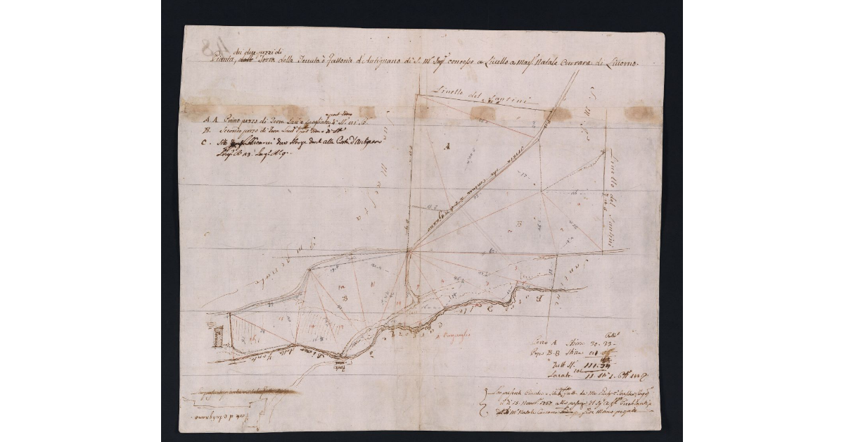 Pianta di due pezzi di Terra della Tenuta ò fattoria d'Antignano di S. M. Imp. concesse a Livello a Mar. Natale Corvara di Livorno