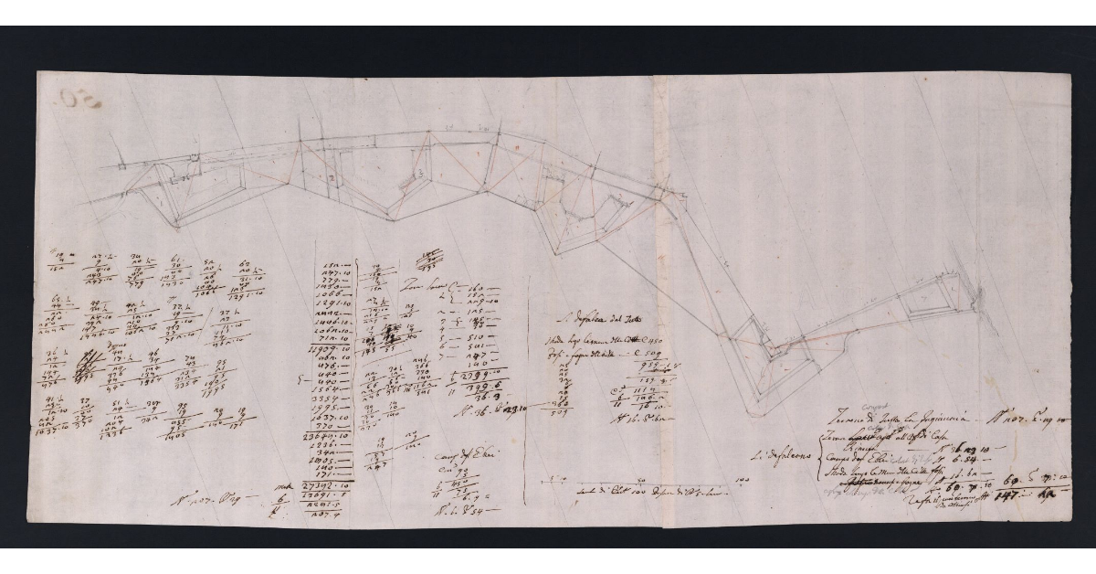 [Pianta della Fagianaia posta lungo le mura di Pisa, da Porta Nuova fino all'Arno]