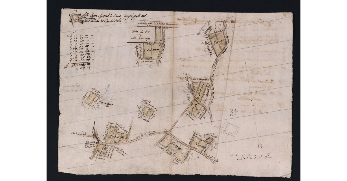 Pianta delle Terre Sparse ò siano Campi posti nel Piano d'Empoli del Podere di Cerbaiola