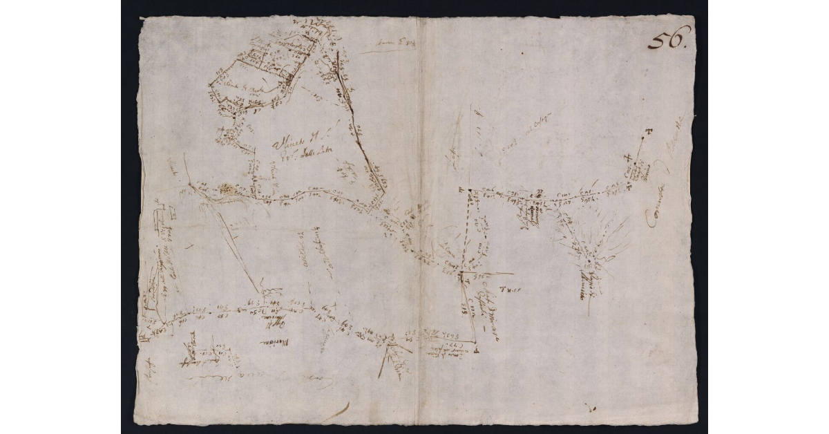 [Pianta dei terreni della fattoria di Vecchiano]