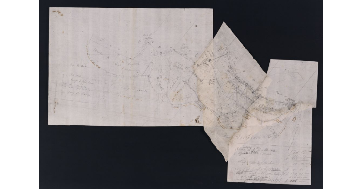 [Pianta dei terreni della fattoria di Vecchiano]