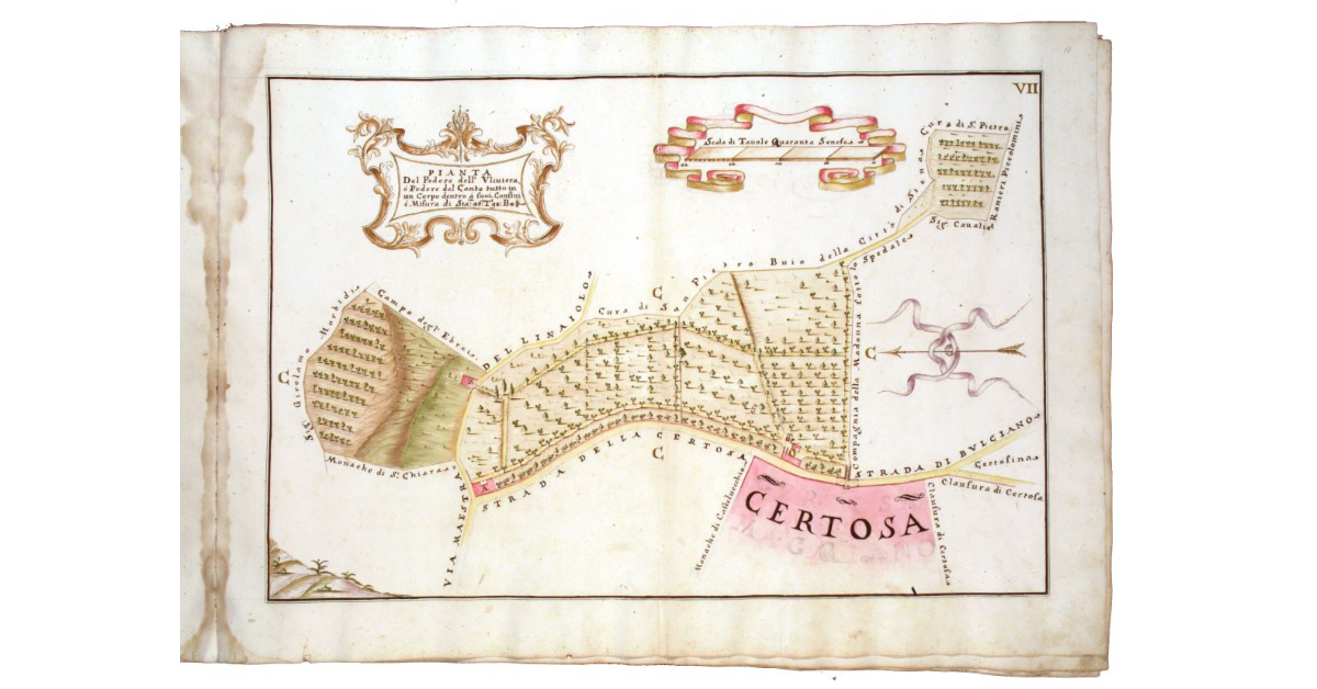 Pianta del podere dell'Uliviera e podere del Canto tutto in un corpo dentro a' suoi confini è misura di staia 36, tavole 93, braccia 4 1/3