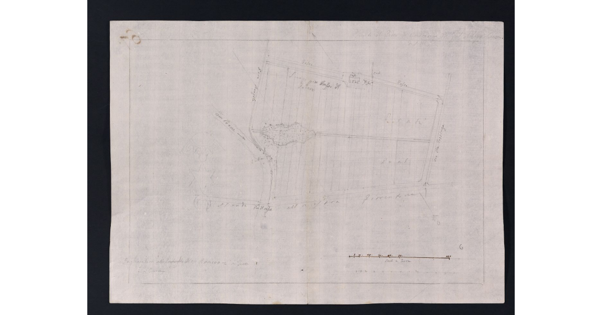 Pianta del Podere di Caccerina della Fattoria di Poggio a Caiano di S.M.I