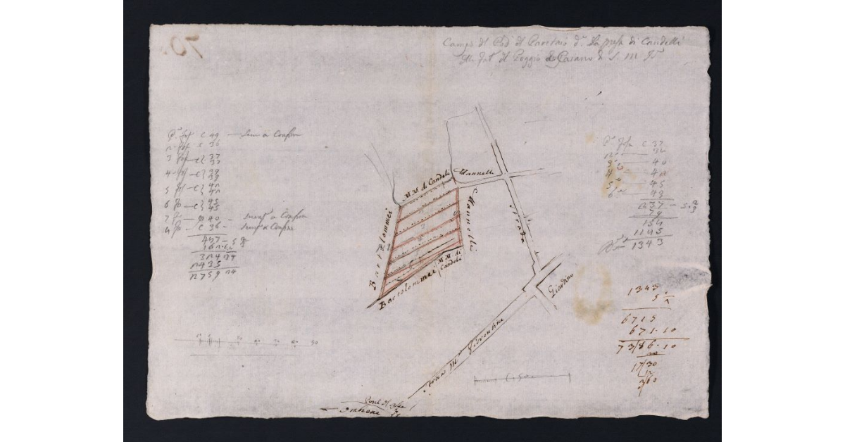Pianta del Pod. del Paretaio detto la presa di Candelli della fattoria di Poggio a Caiano di S.M.I