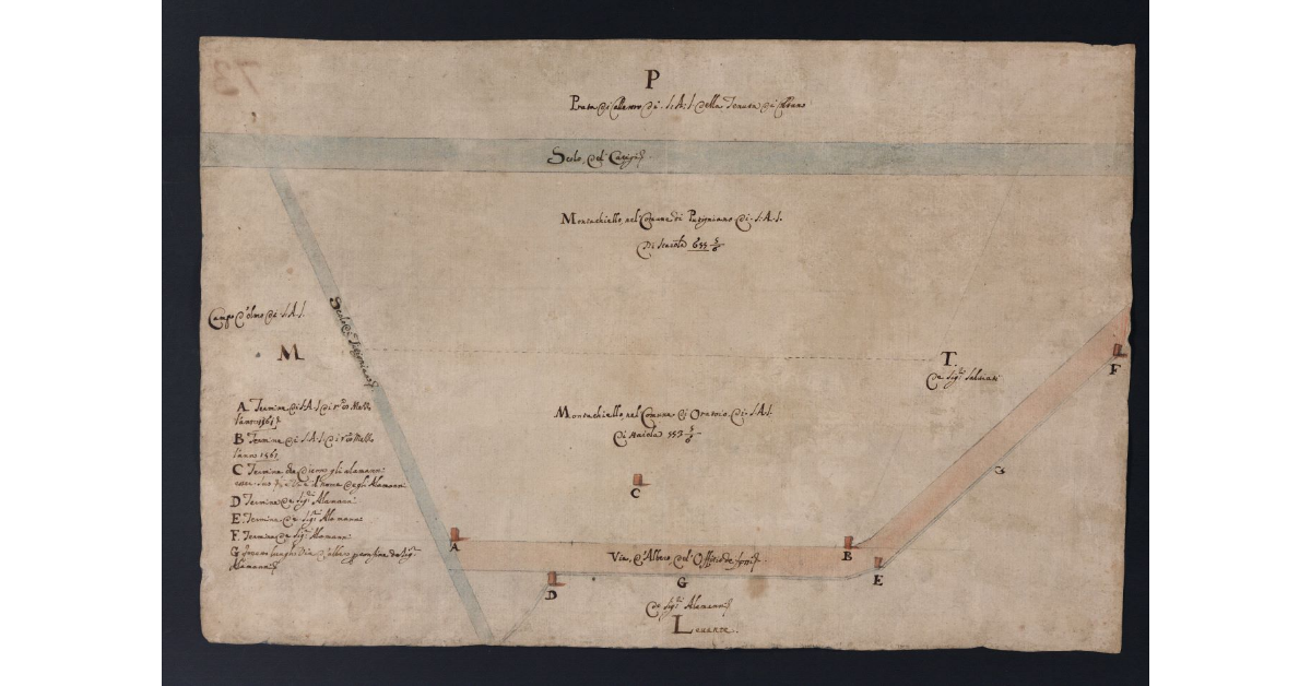 [Pianta dei terreni di Montacchiello nei comuni di Putignano e di Oratoio appartenenti alla tenuta di Coltano]