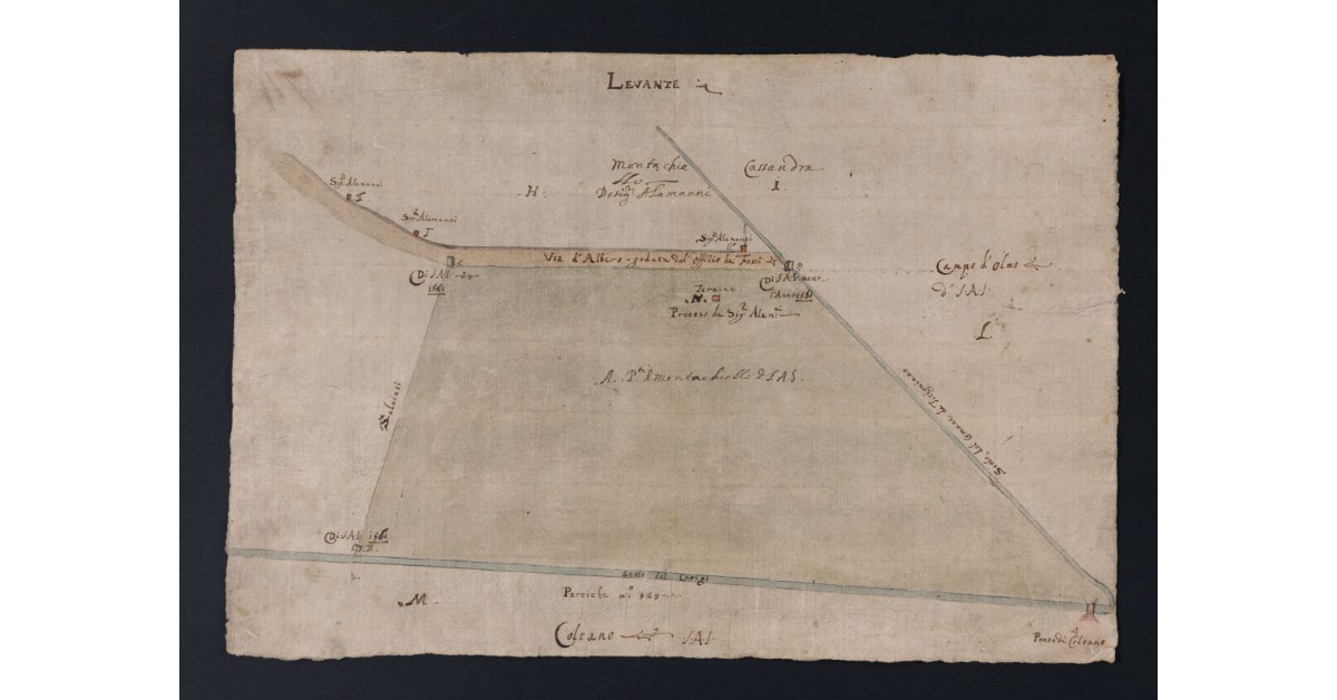 [Pianta dei prati di Montacchiello appartenenti alla tenuta di Coltano]