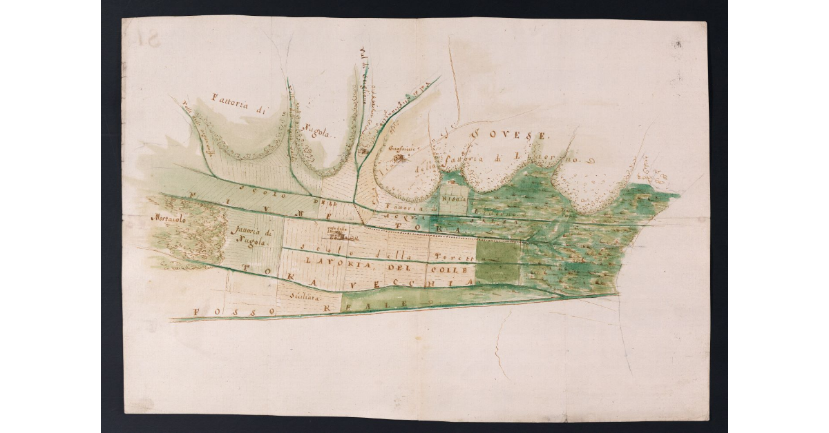 [Pianta di una parte dei terreni della fattoria di Collesalvetti e Nugola nelle adiacenze del fiume Tora e del fosso Reale]
