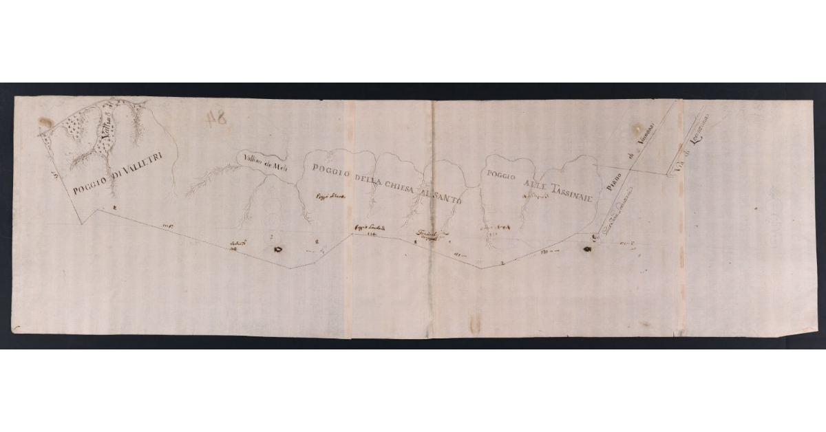 [Pianta dell'area a confine con la comunità di Lorenzana]