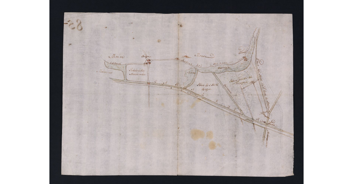 [Pianta delle campagne adiacenti ai Bagni di Pisa]