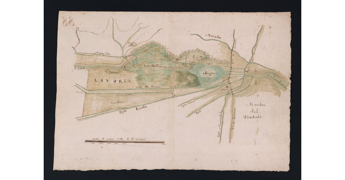 [Pianta di una parte dei terreni della fattoria di Collesalvetti e Nugola nelle adiacenze del fiume Tora e del fosso Reale]
