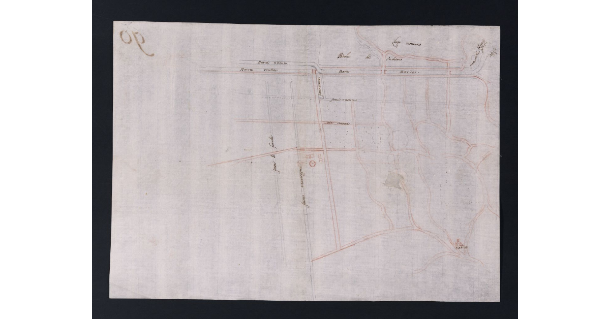 [Fattoria di Vecchiano]