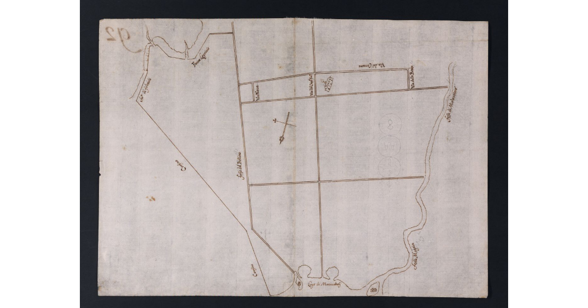 [Fattoria di Vecchiano]