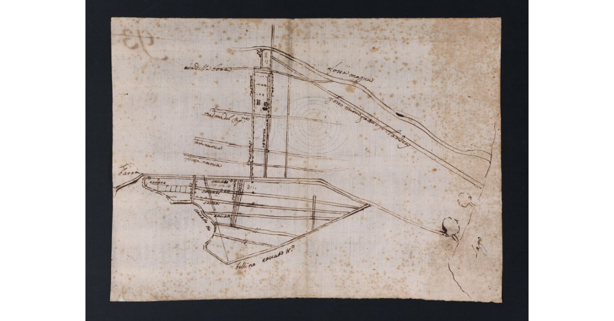 [Fattoria di Vecchiano]