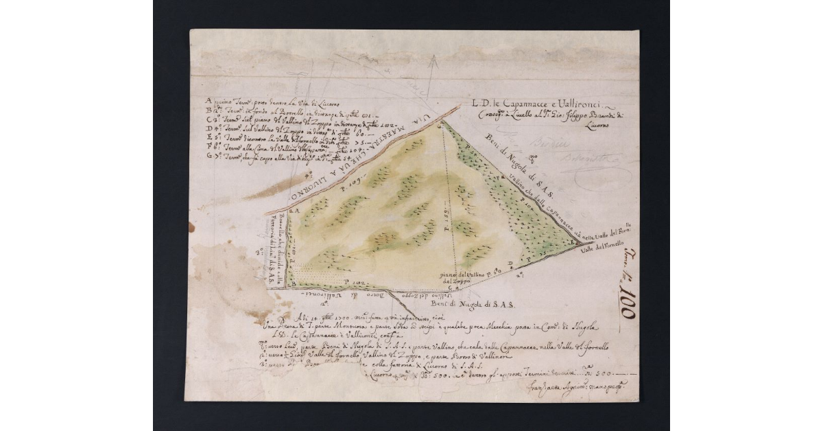 [Pianta dei terreni denominati "Le Capannacce e Vallironci" concessi a livello a Giovanni Filippo Brandi nella fattoria di Nugola]