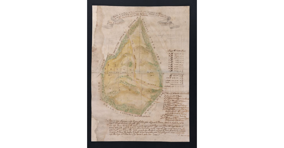 Pianta di un Pezzo di Terra Montuosa posta nel Comune di Parrana Fattoria di Nugola di S.A.R. L.D. il Poggio detto Aione e Pratello con gl'apposti Termini fatta da me Francesco Gaeta il dì VI marzo 1702, allivellata a Lorenzo Sorelli di Livorno