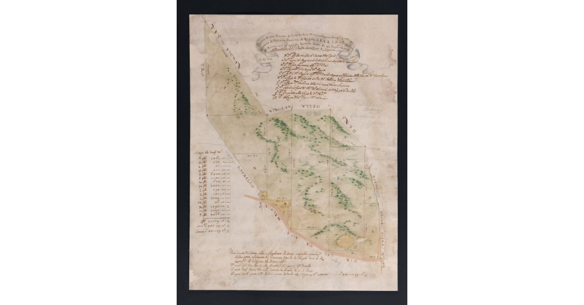 Pianta di una Tenuta di Terra Soda e Montuosa con Sterpi posta nel Comune di Parrana Fattoria di Nugola di S.A.R. L.D. il Poggione dell'Aione con gl'apposti Termini fatta da me Francesco Gaeta il di VII marzo 1702. Allivellata a P. Giusto Castellacci di Livorno