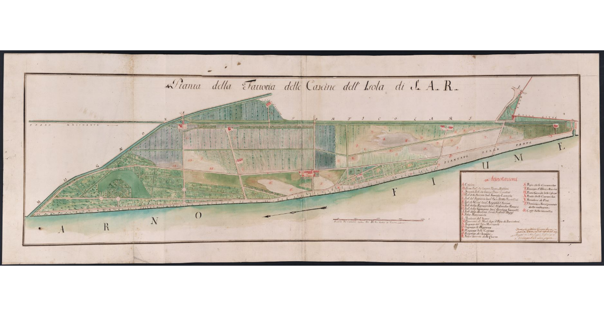 Pianta della Fattoria delle Cascine dell'Isola di S.A.R