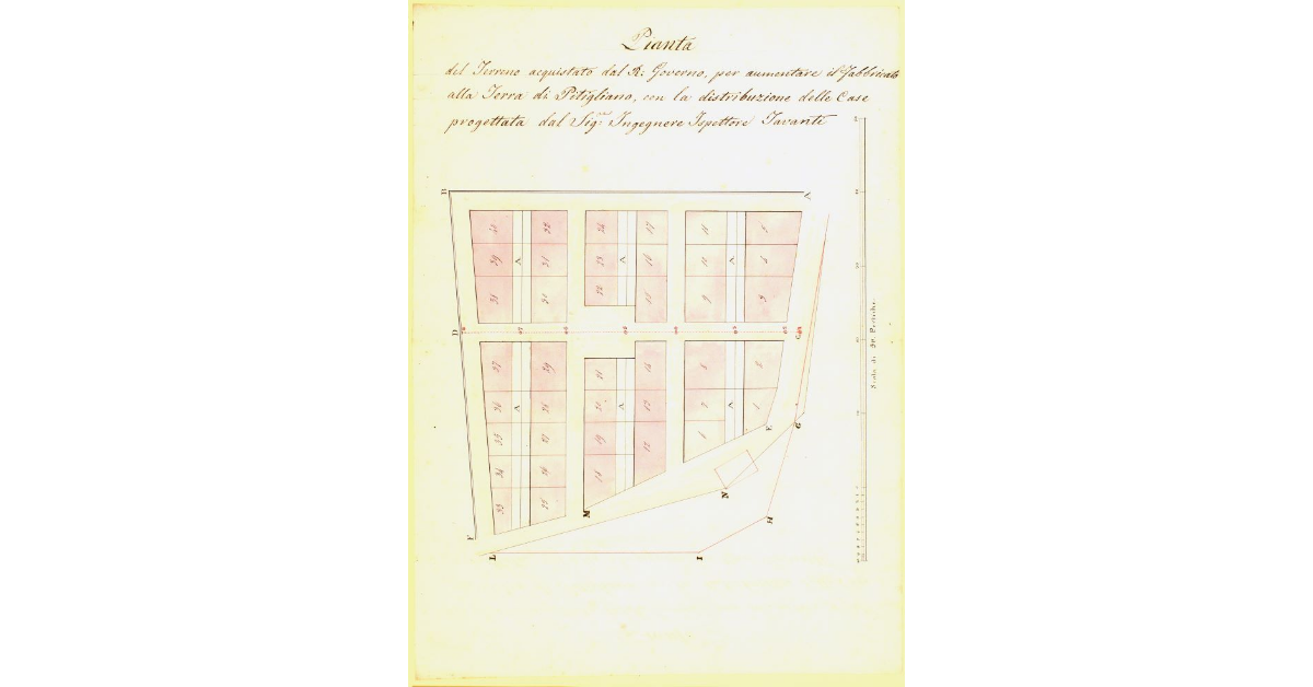 Pianta del Terreno acquistato dal R. Governo, per aumentare il Fabbricato alla Terra di Pitigliano, con la distribuzione delle case progettata dal Sig. Ingegnere Ispettore Tavanti