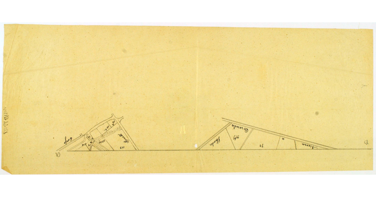 [Pianta di un tratto di strada fra Grosseto e Siena]