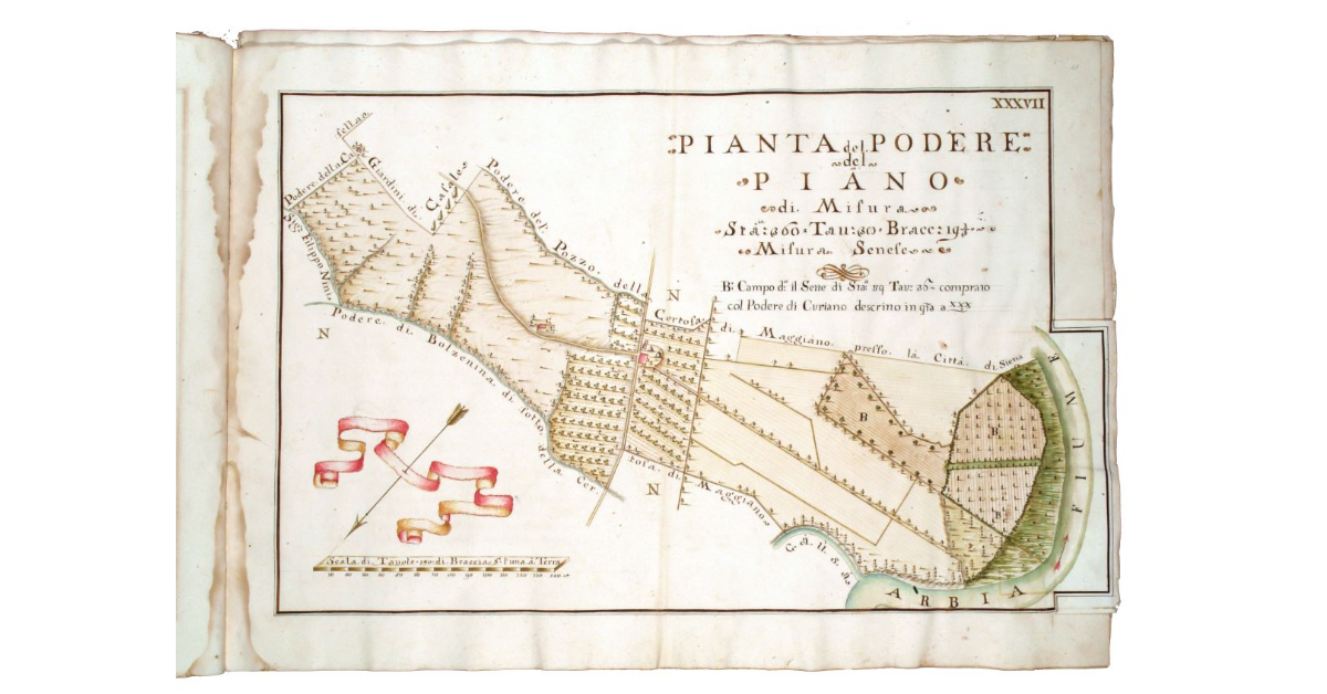 Pianta del podere del Piano di misura staia 360, tavole 38, braccia 19 1/3. Misura senese
