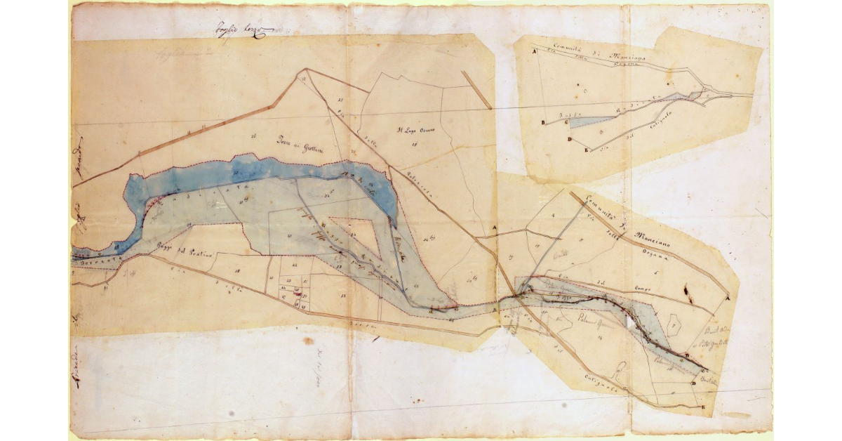 Radicata. Foglio Terzo