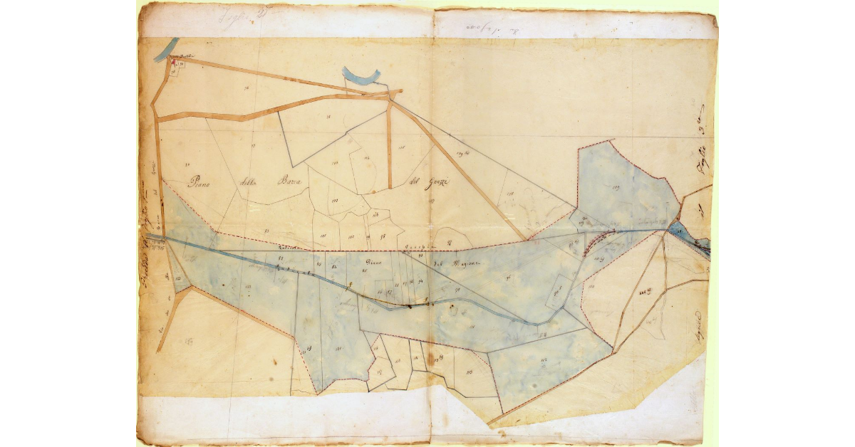 Radicata. Foglio Secondo