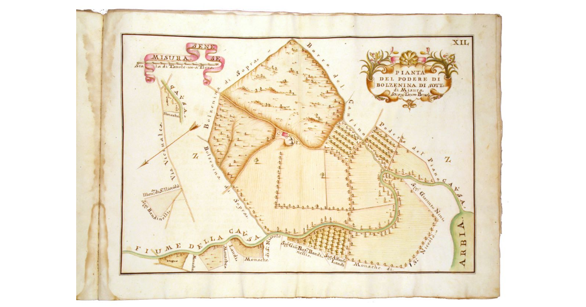 Pianta del podere di Bolzenina di Sotto di misura staia 519, tavole 84, braccia 32 1/3