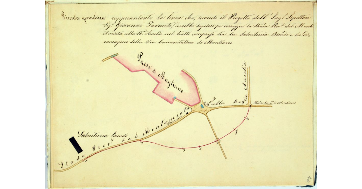 Pianta geometrica rappresentante la linea che, secondo il Progetto dell'Ing. Ispettore Sig. Giovanni Tavanti, dovrebbe seguirsi per corregger la Strada Prov.le dal Monte Amiata alla Rª. Aurelia nel tratto compreso tra la Salnitreria Biondi e la diramazione della Via Comunitativa di Montiano