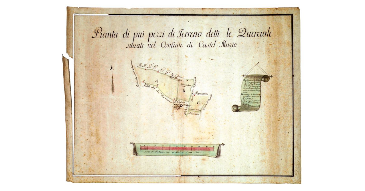 Pianta di più pezzi di terreno detti le Querciole situati nel comune di Castel Muzio