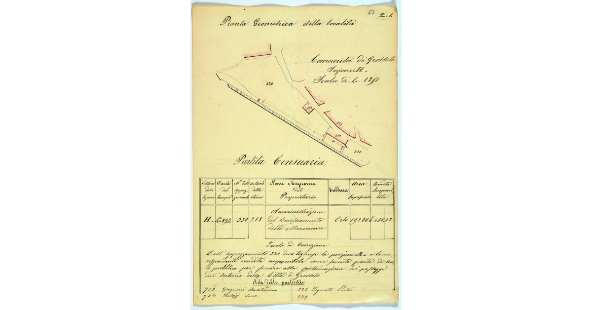 Pianta geometrica della località. Comunità di Grosseto. Sezione H. Scala di 1 a 1250