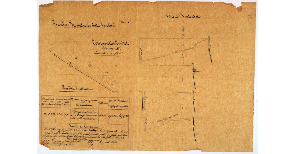 Pianta geometrica della località. Comunità di Grosseto. Sezione H