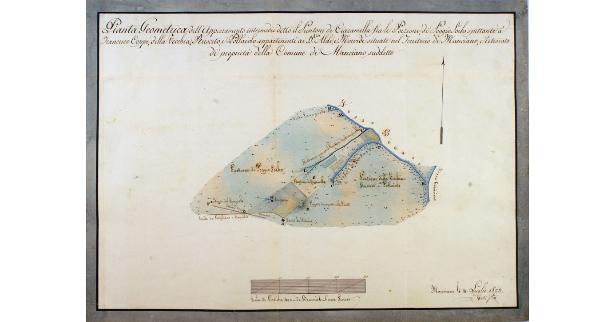 Pianta Geometrica dell'Appezzamento intermedio detto il Puntone di Ciaramella fra le Porzioni, di Poggio Sorbo spettante a Francesco Coppi, della Vecchia, Rusceto, e Pollaiolo appartenenti ai SS.ri Aldi e Morvidi situate nel Territorio di Manciano, Ritrovato di proprietà della Comune di Manciano suddetto